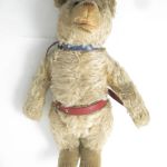 604 6130 TEDDY BEAR